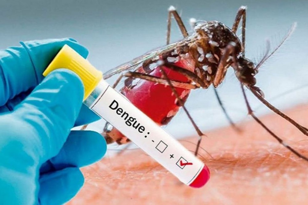 DENGUE FEVER TEST IN YELAHANKA